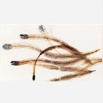 Emu Feathers 50ct (2-4inches)